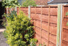 Fence Panel Installed old panel removed waneylap PCDS 