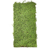 Artificial Living Wall Green Twig Moss Panel Decor Pure Clean Rental Solutions 