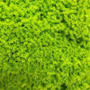 Artificial Living Wall Lime Green Moss Panel Decor Pure Clean Rental Solutions 