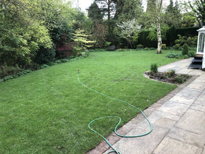 Lawn Assesment FOC PCDS 