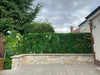 Artificial Living Wall Dark Green Moss Panel Decor Pure Clean Rental Solutions 
