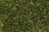 Willow 45mm Artificial Grass Lawn & Garden Pure Clean Rental Solutions 